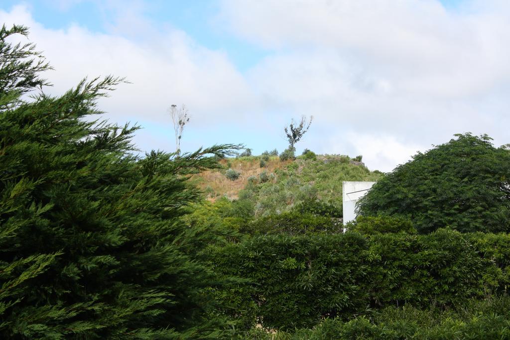 Apartamento Mar E Serra Ponta Delgada Exterior foto